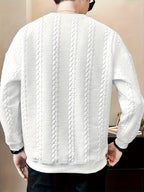 Men's Solid Color Crew Neck Twist Knit Sweater, Autumn/Winter Casual Pullover